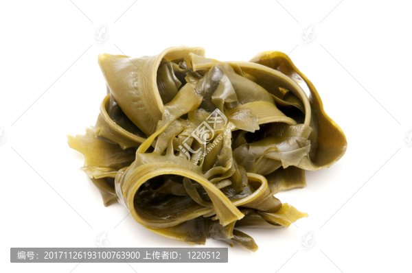 新鮮的