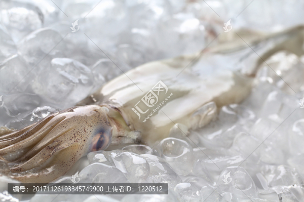 食物