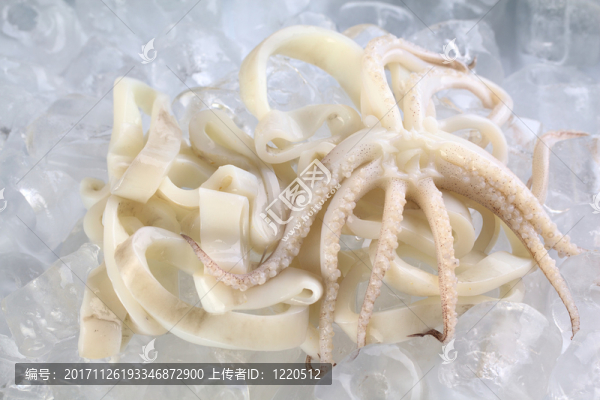 食物