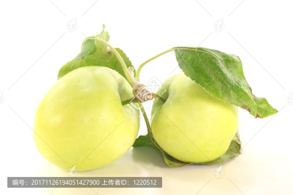 蘋果和葉子