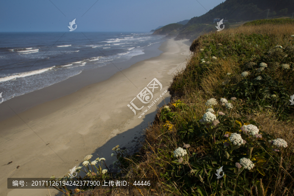 俄勒岡海岸