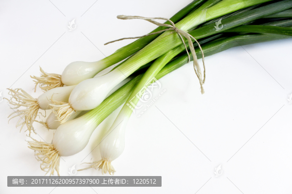 航空醫(yī)學(xué)抽空控制指揮官