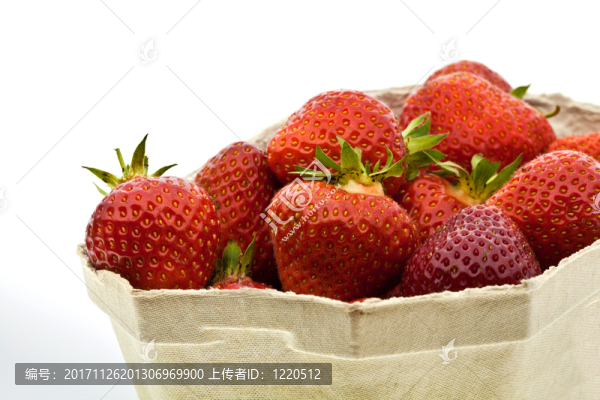 滋養(yǎng)
