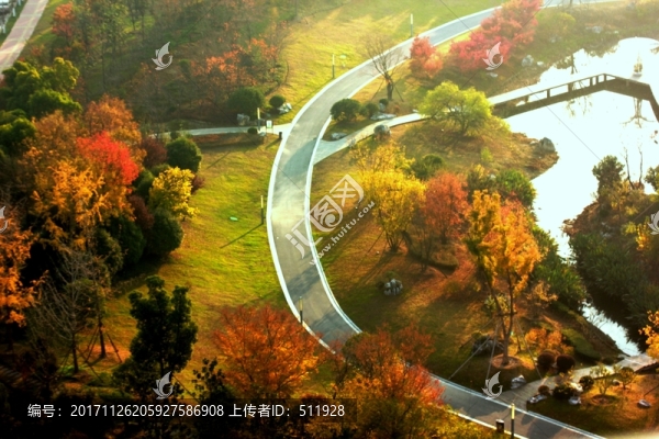 莉湖