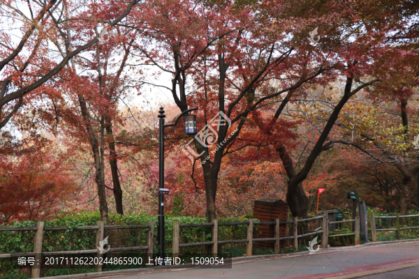 山路