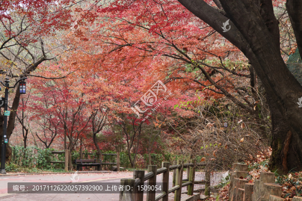 山路