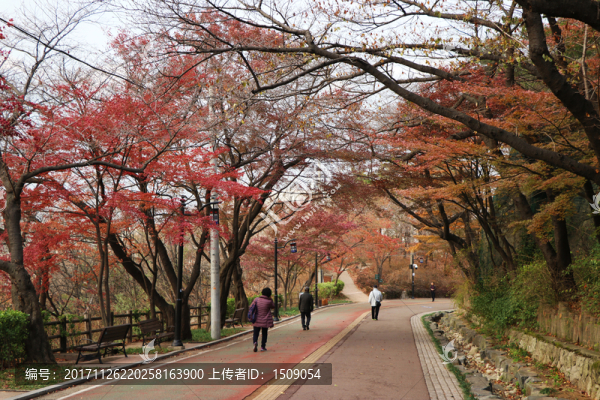 山路