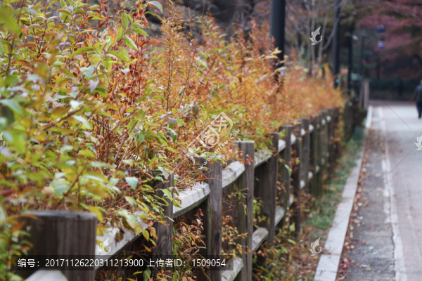 山路
