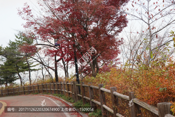 山路