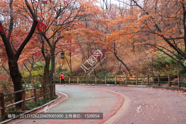 山路