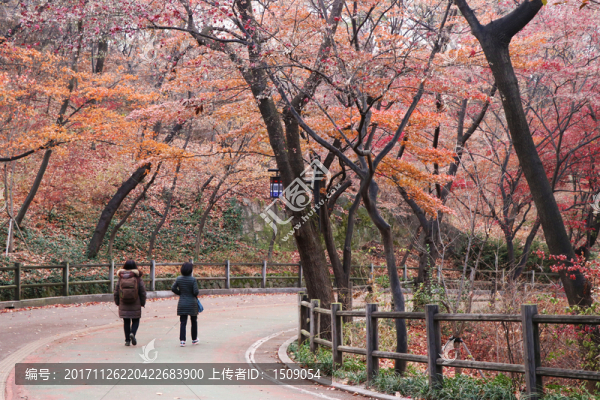 山路