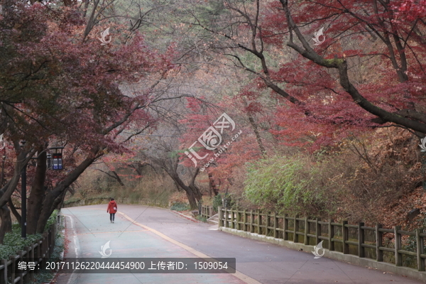 山路