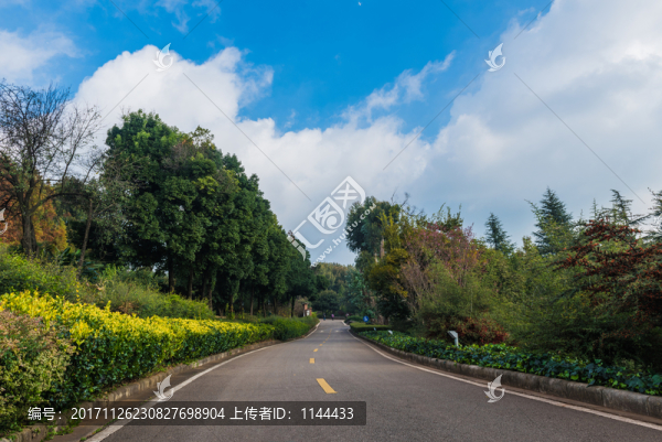 園林景觀