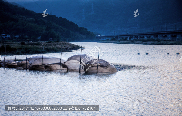 霞浦魚排