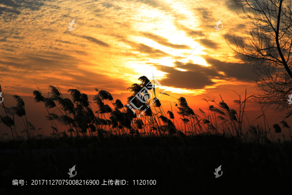 晚霞