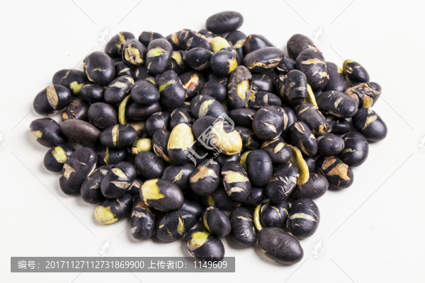 黑豆高清白底