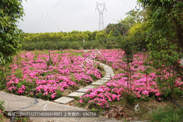 花園
