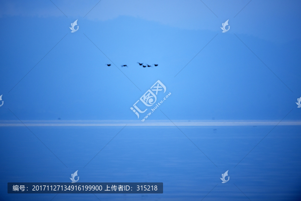 湖泊,飛鳥
