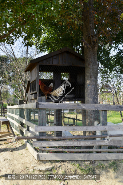 無動力樂園