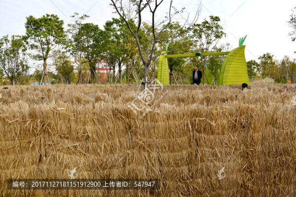 無動力樂園,迷宮
