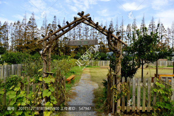 柵欄門,游樂園