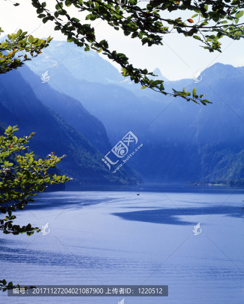 山