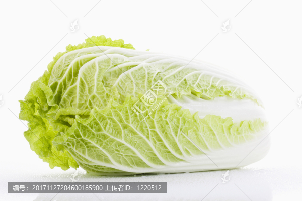 白菜