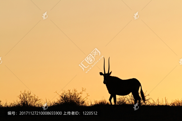 日落