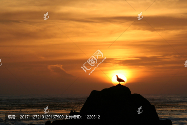 假日