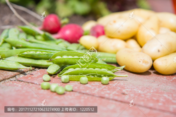 土豆和豌豆