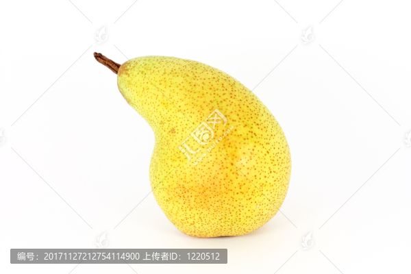 食物