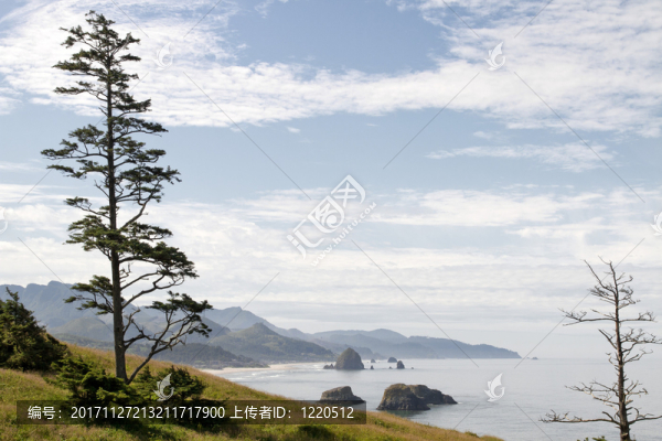 海灘