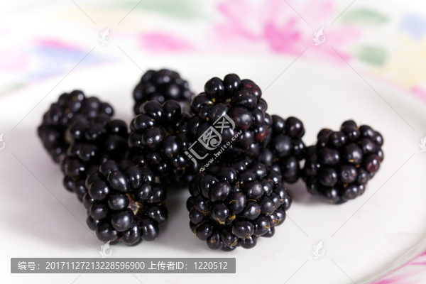 新鮮的黑莓