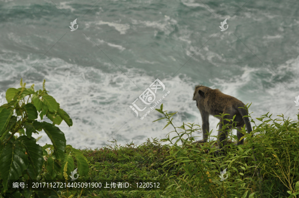 假日