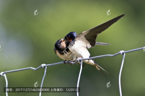 航行