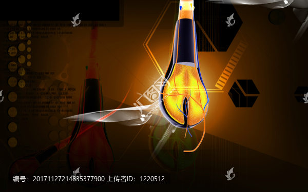 醫(yī)學(xué)上地