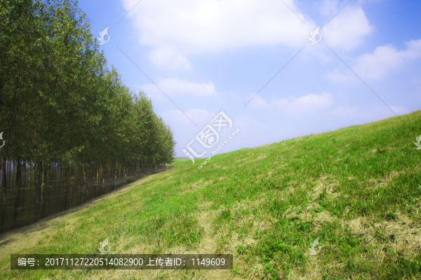 藍(lán)天綠樹草地