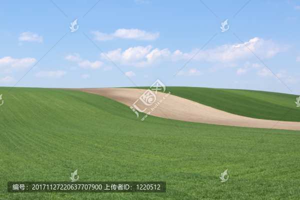 gerstenfeld