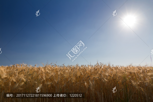 藍(lán)色