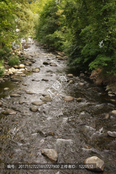 wikdromantische,bode