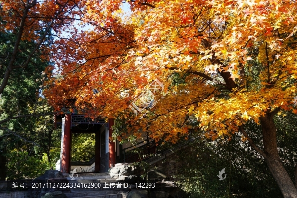 香山