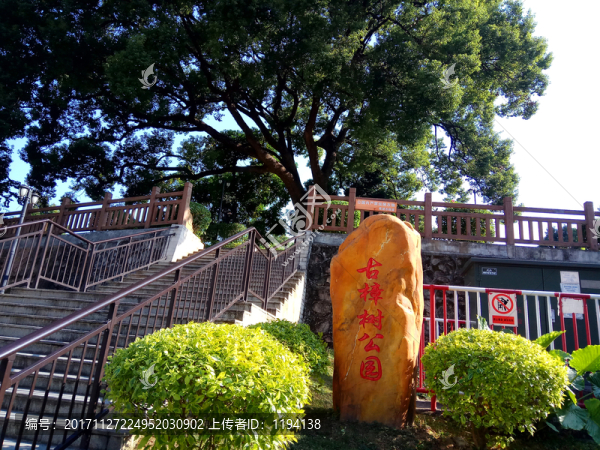 古樟樹公園,石雕石藝,景觀園林