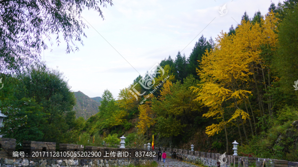 雁門關風景