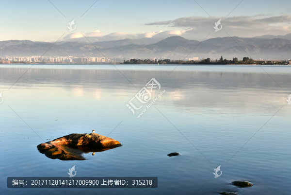 西昌邛海,湖泊,小鳥