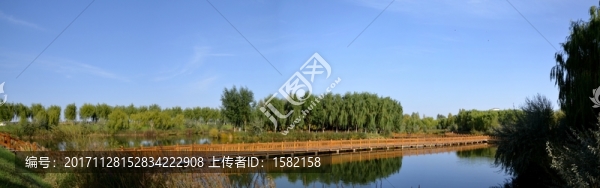 甘肅張掖高臺國家級濕地公園