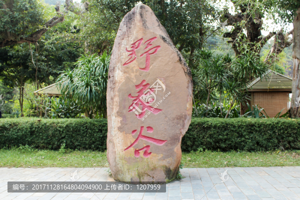 西雙版納野象谷