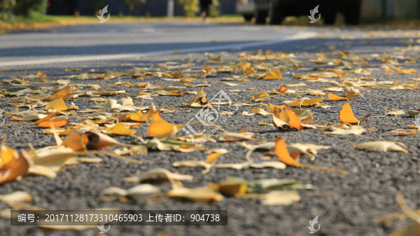 銀杏葉