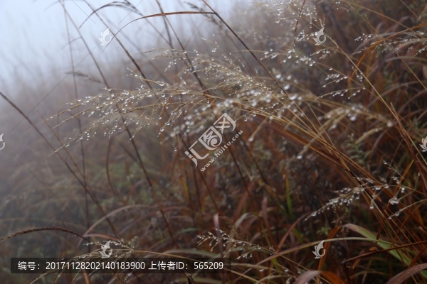 武功山,風(fēng)景