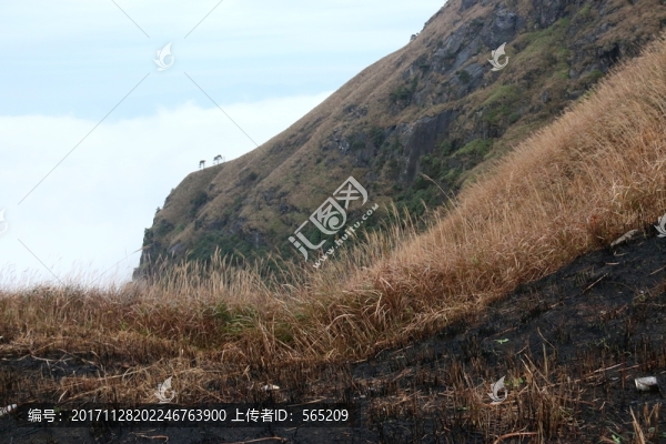 武功山風(fēng)景