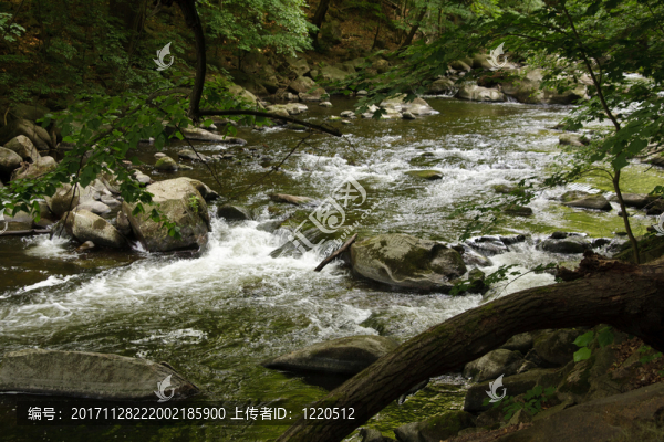wikdromantische,bode